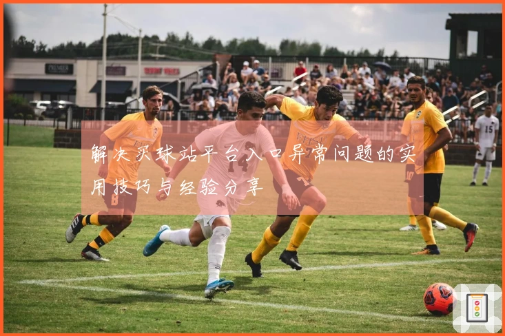 解决买球站平台入口异常问题的实用技巧与经验分享